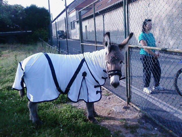 Photo de profil de scoobi