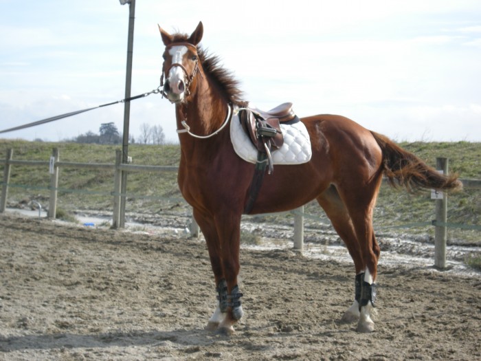 Photo de profil de pseuroc