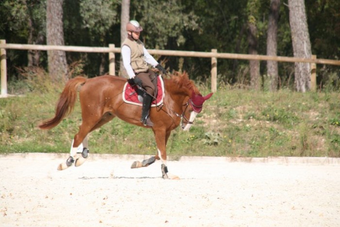 Photo de profil de pat06130