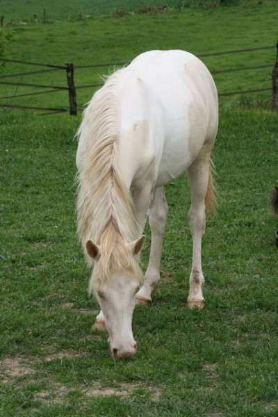 Photo de profil de edacurly