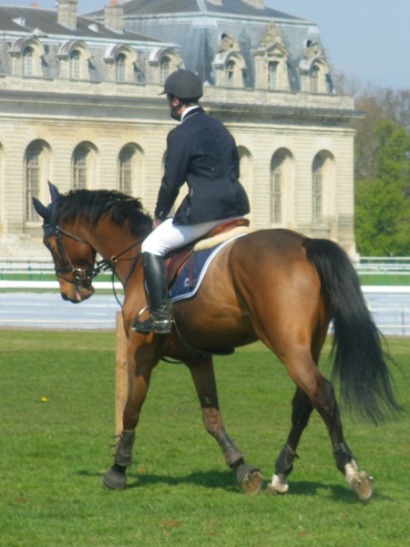 Photo de profil de clementp