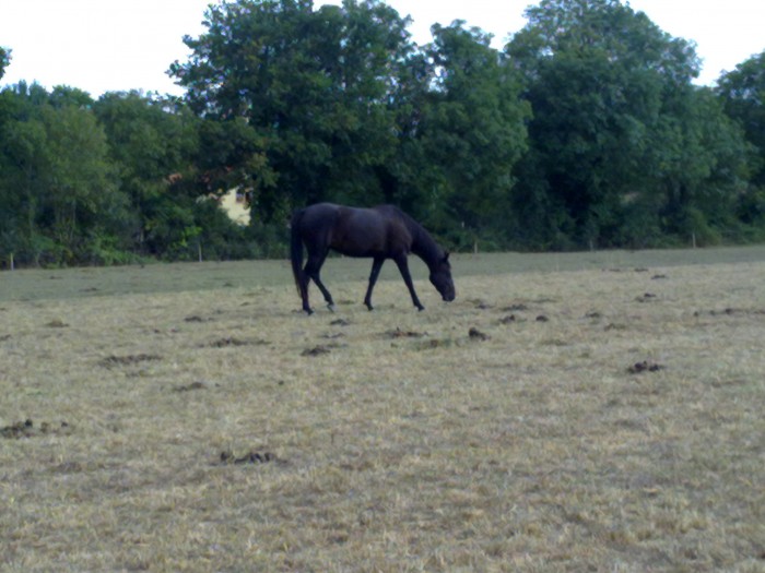 Photo de profil de liebaert