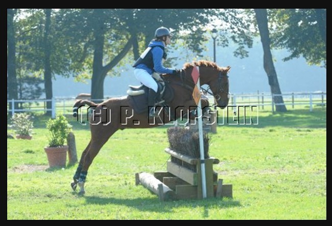 Photo de profil de kellosh