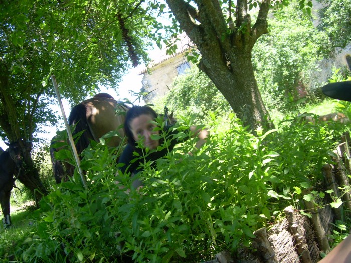 Photo de profil de tamiro