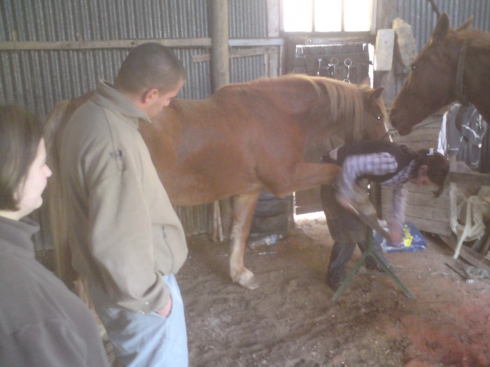 Photo de profil de jubus