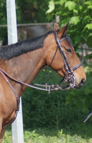 Photo de profil de hubertd