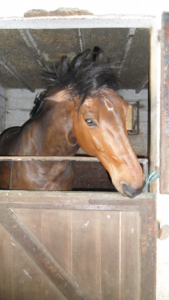 Photo de profil de missnella95