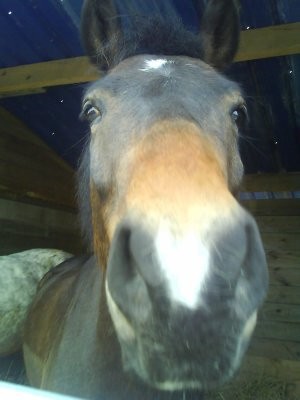 Photo de profil de axelllle