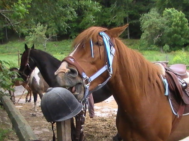 Photo de profil de starkanndulogis