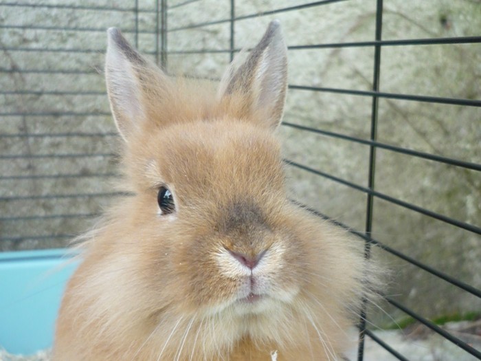 Photo de profil de fanta64