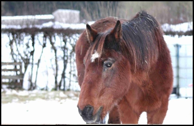 Photo de profil de thierry08450