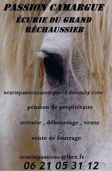 Photo de profil de passioncamargue
