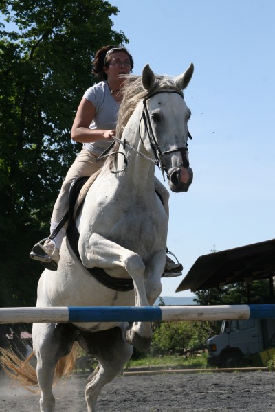 Photo de profil de concoursgirls