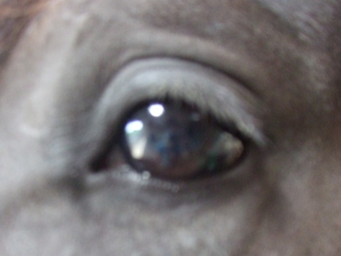 Photo de profil de flit19