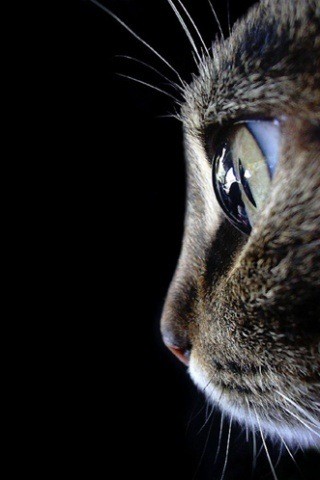 Photo de profil de kelinda69