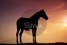 Photo de profil de cybellelove