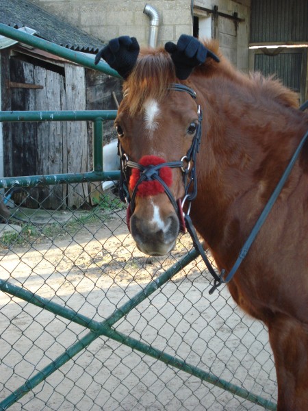 Photo de profil de monyzulie