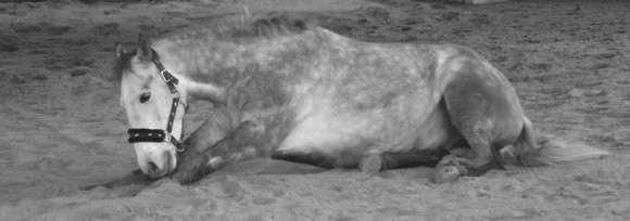 Photo de profil de ro0ck