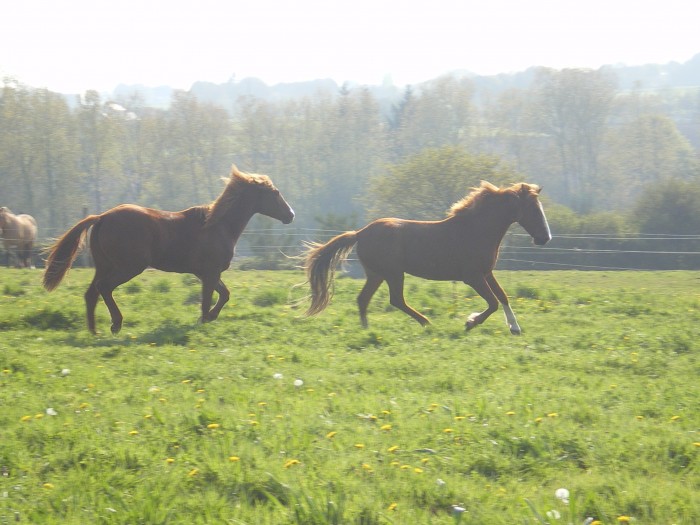 Photo de profil de gabrielle29