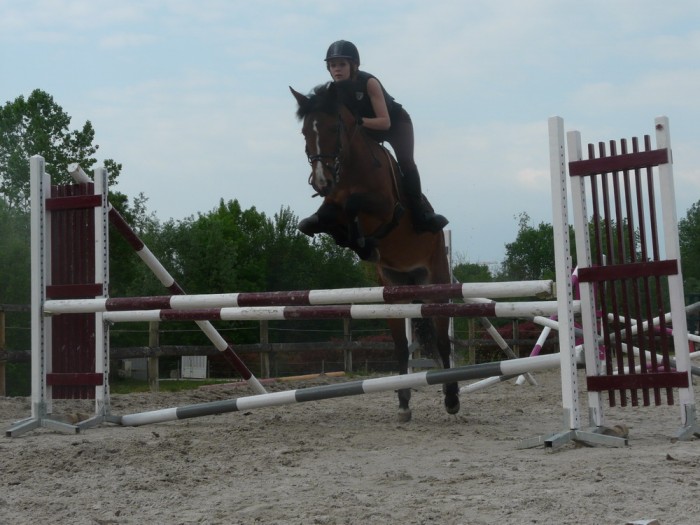 Photo de profil de horsemary