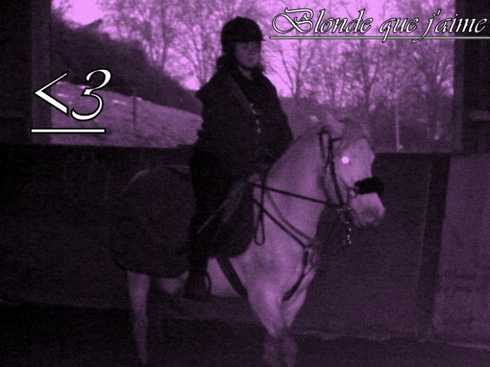 Photo de profil de passioncheval78