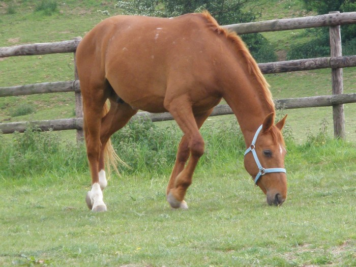 Photo de profil de roxy-et-laeti