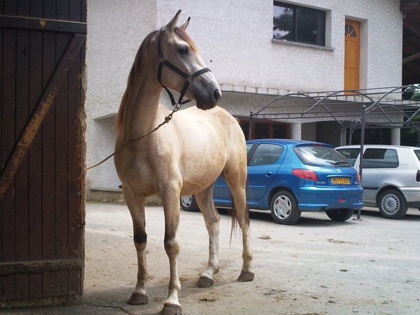Photo de profil de lola339