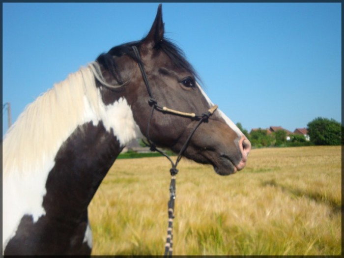 Photo de profil de indix3