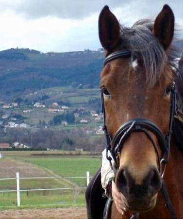 Photo de profil de quouki