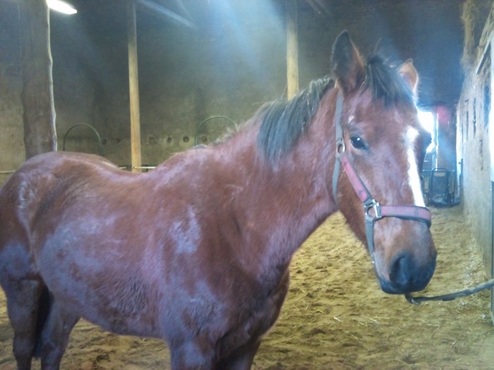 Photo de profil de mariem31