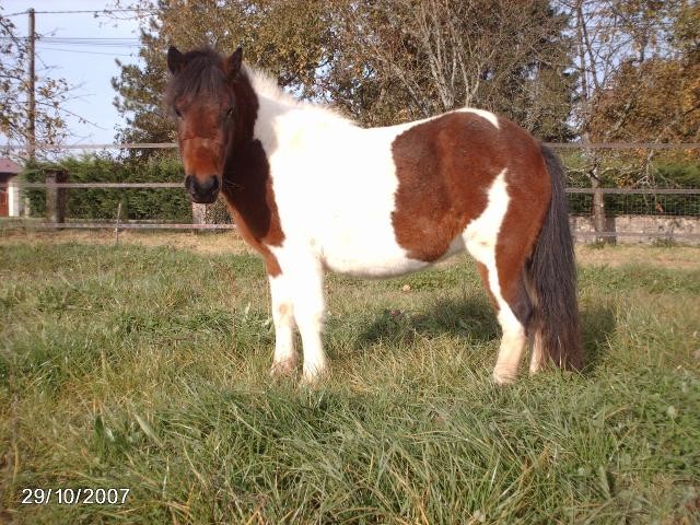 Photo de profil de quinder39