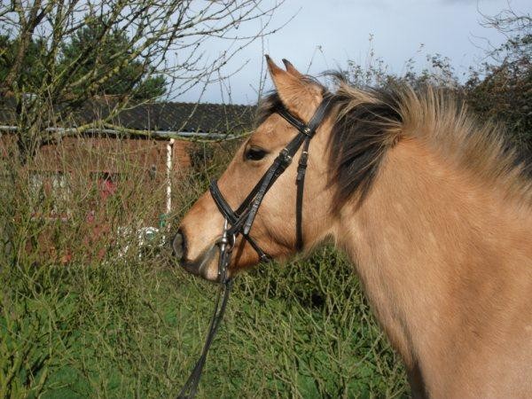 Photo de profil de claranana