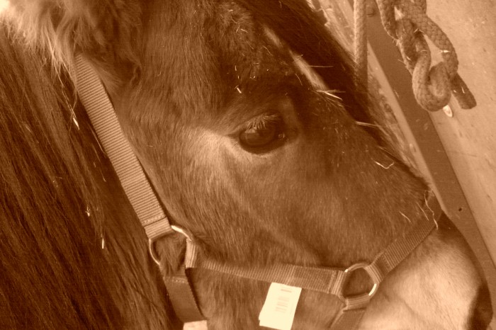Photo de profil de olympe66