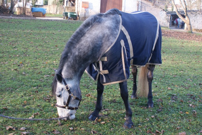 Photo de profil de rockett0401