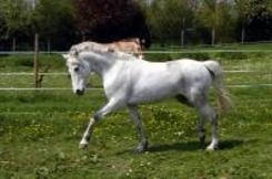 Photo de profil de javanaise_peuti