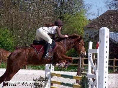 Photo de profil de syrocos94