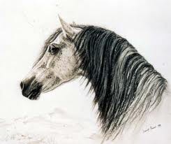 Photo de profil de chlochlo