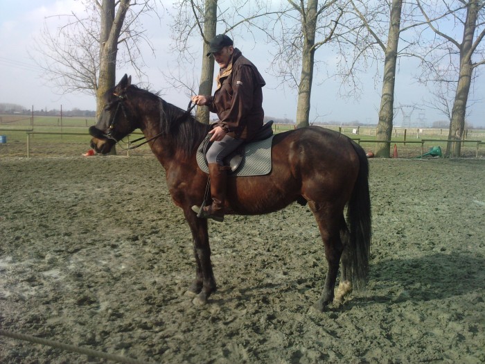 Photo de profil de baccara59