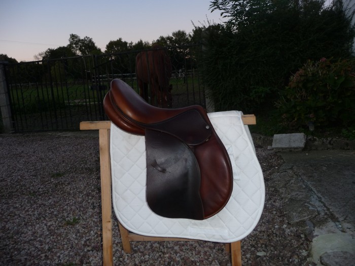 Photo de profil de freedawn