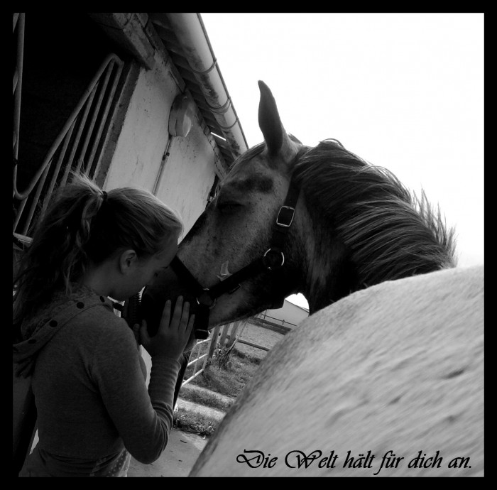 Photo de profil de carpexdiem