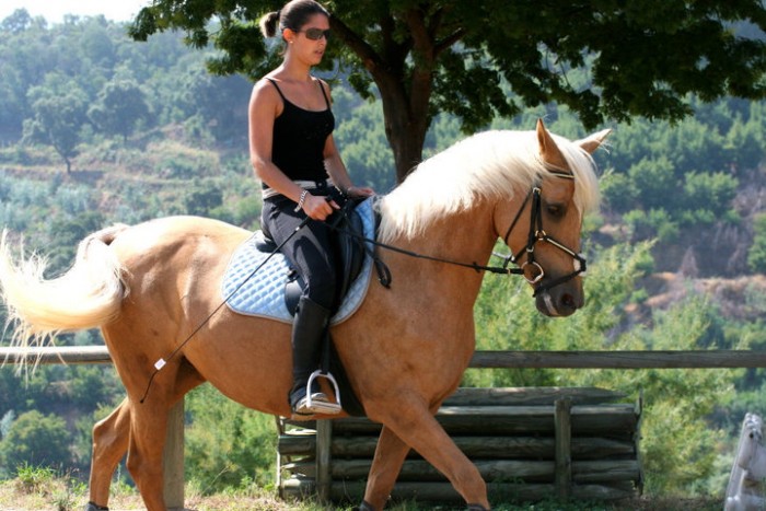 Photo de profil de soledad06