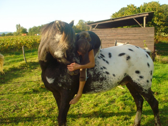 Photo de profil de quercy