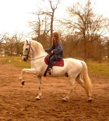 Photo de profil de cynthiia.n