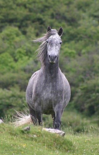 Photo de profil de louchka