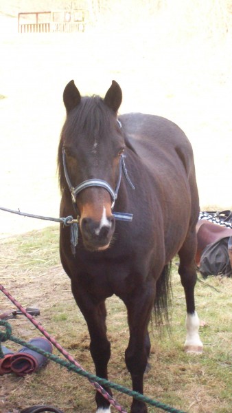 Photo de profil de vitooriaa