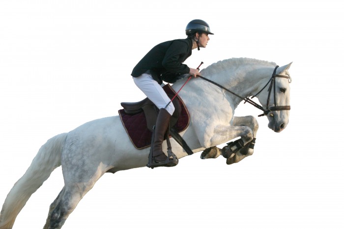 Photo de profil de ronaldolusitano