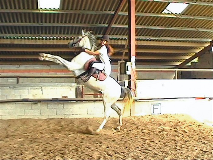 Photo de profil de alineeeeeeee