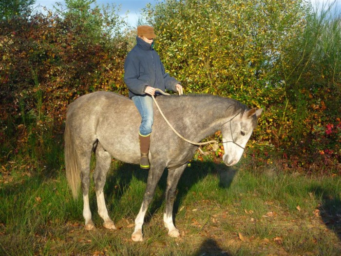 Photo de profil de sergeui