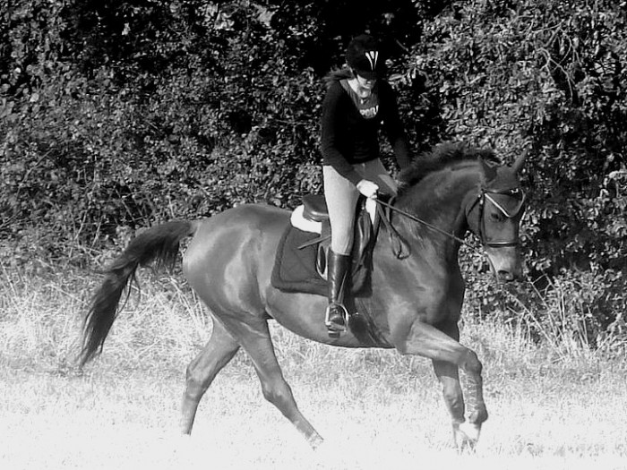 Photo de profil de mlleaiglon