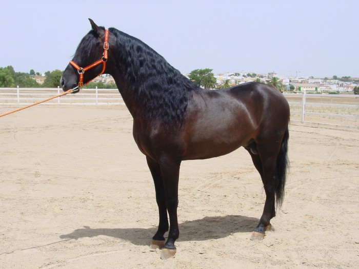 Photo de profil de dolgarent